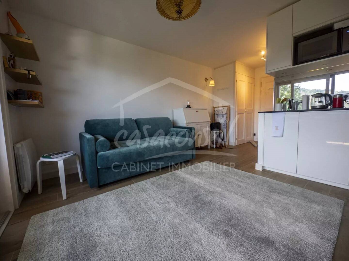 Appartement à vendre, 18m², Cordon