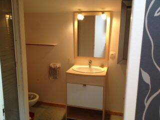 Appartement à louer, 45m², Vaugneray