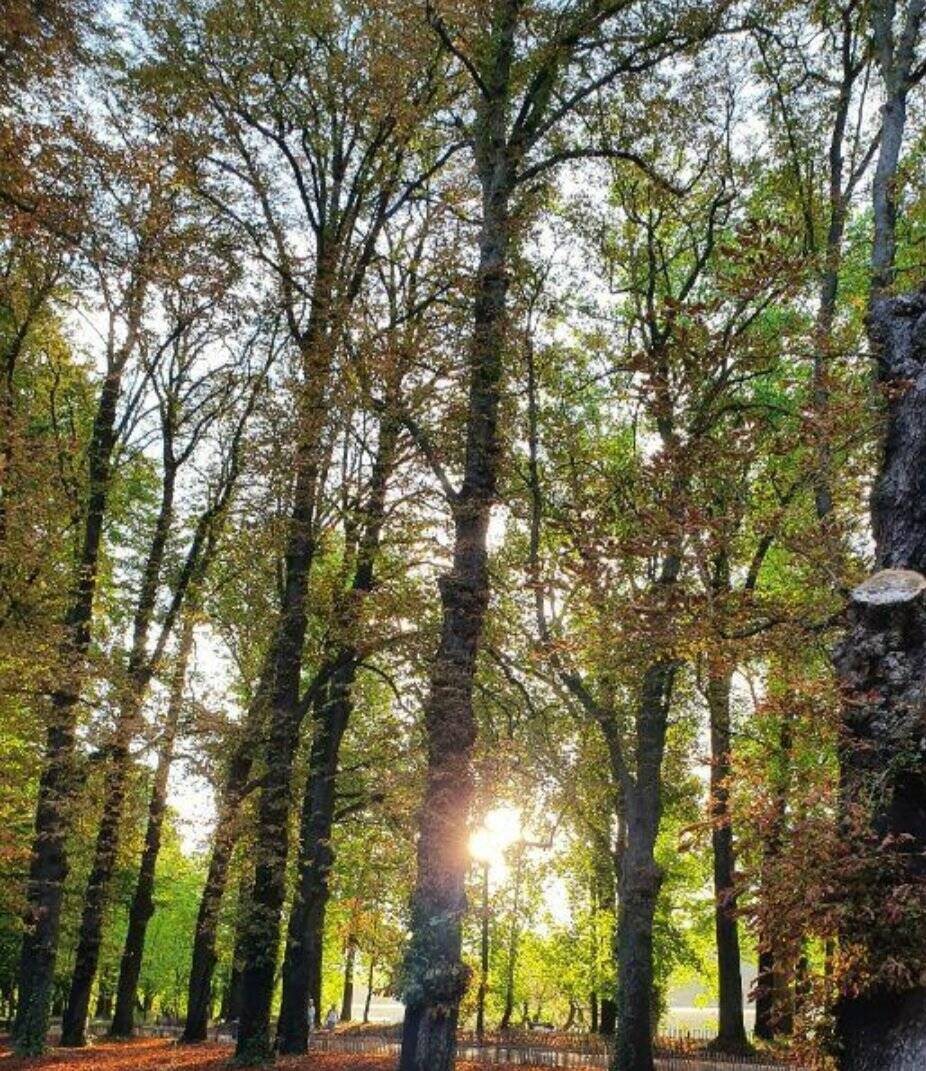 Appartement à vendre, 125m², Saint-Gervais-les-Bains