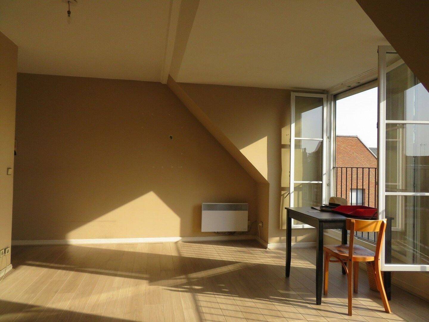 Appartement à vendre, 32m², Lille