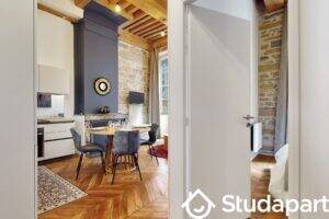 Appartement à louer, 45m², Lyon 1er