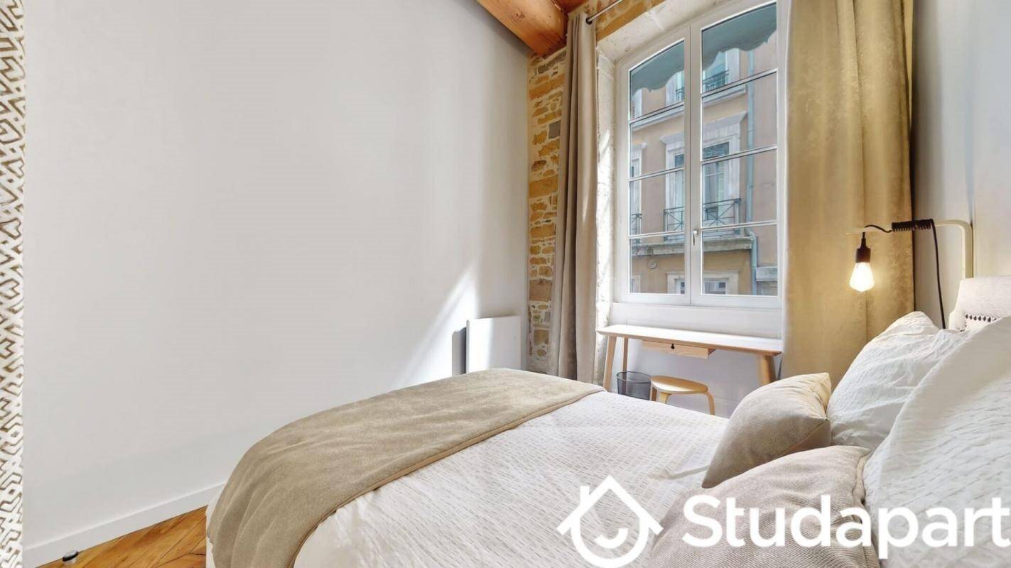 Appartement à louer, 45m², Lyon 1er