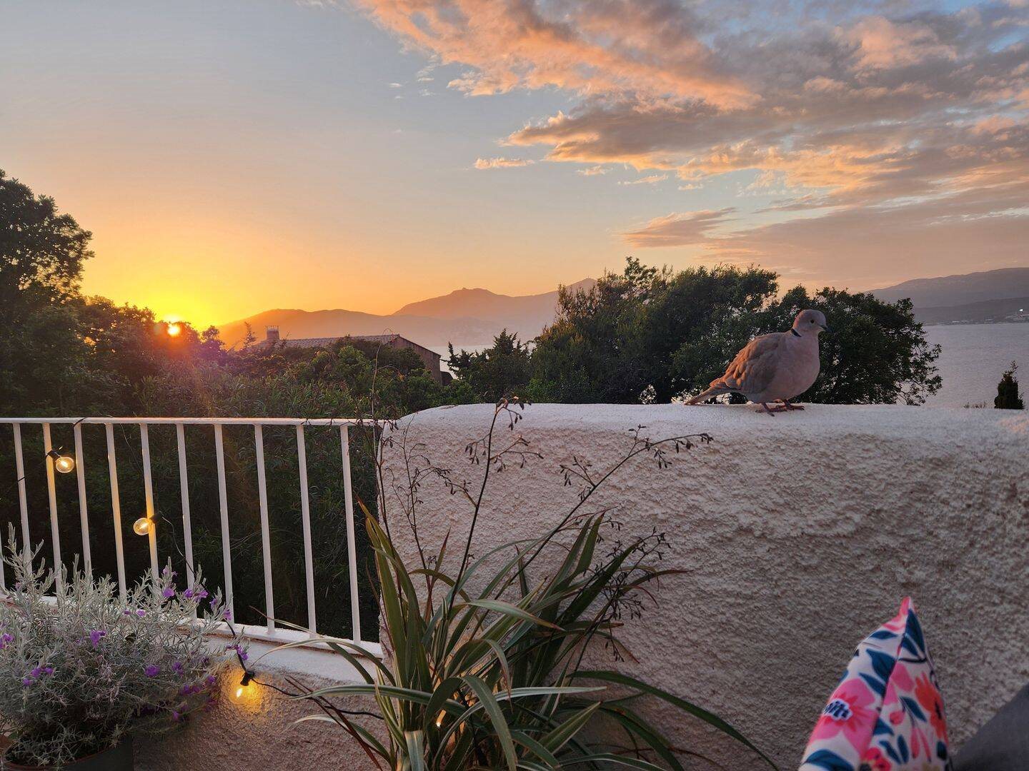 Maison à louer, 60m², Pietrosella