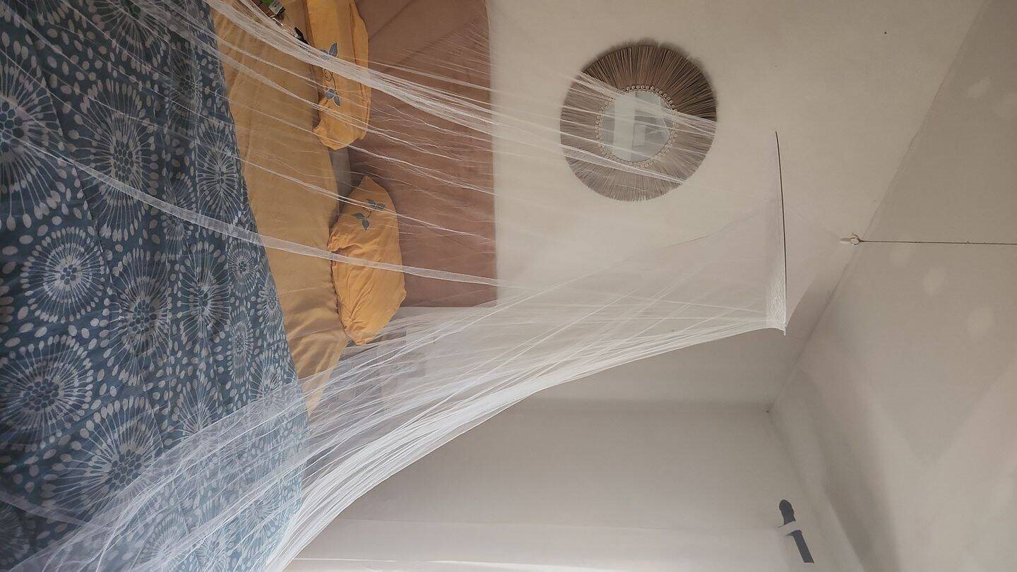 Maison à louer, 60m², Pietrosella