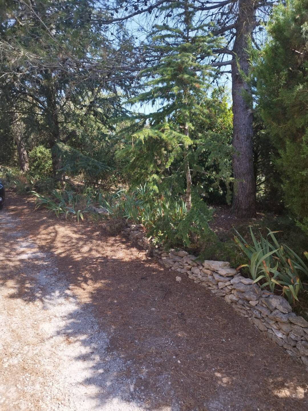 Appartement à louer, 35m², Moussoulens