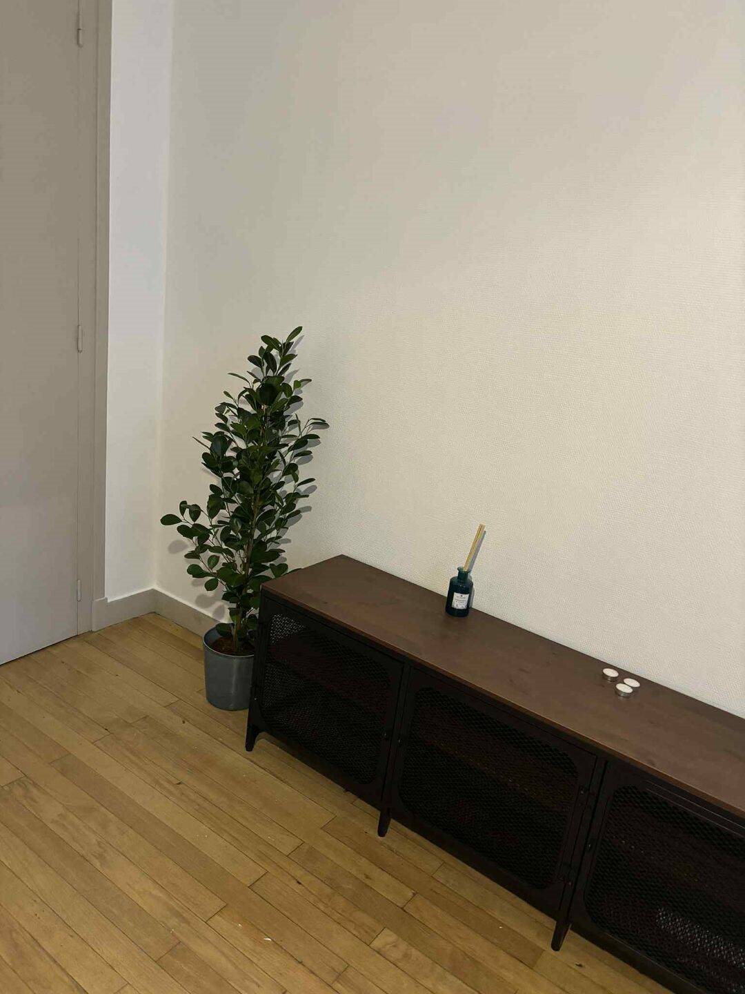 Appartement à louer, 39m², Tours