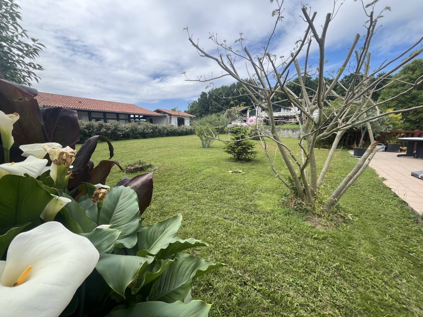 Maison à vendre, 218m², Hasparren