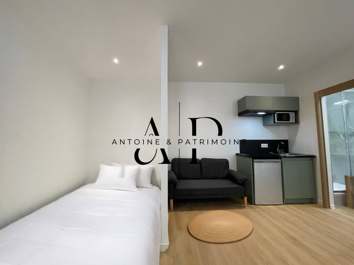 Appartement à louer, 22m², Lyon 7ème