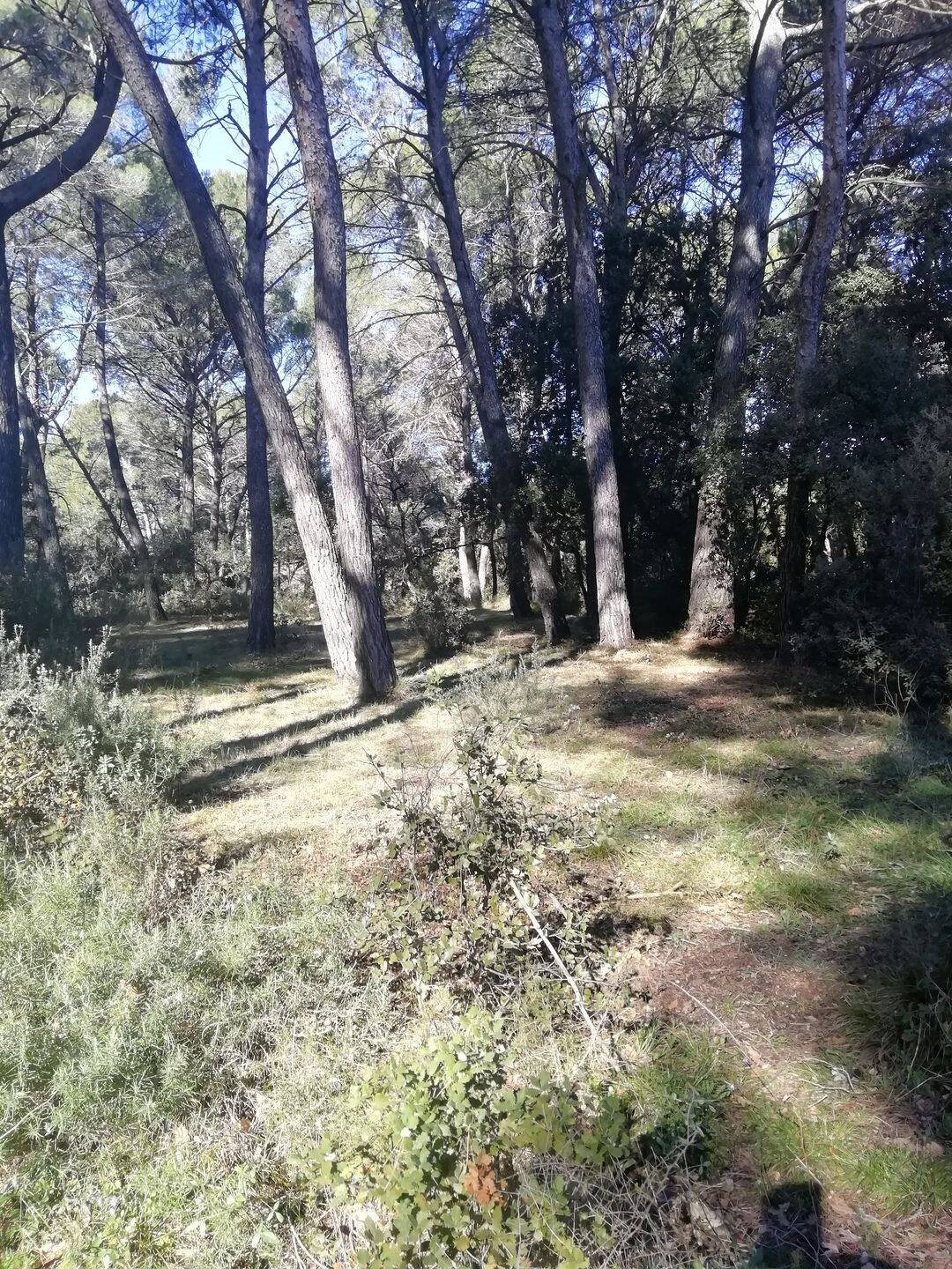 Maison à louer, 50m², Lambesc