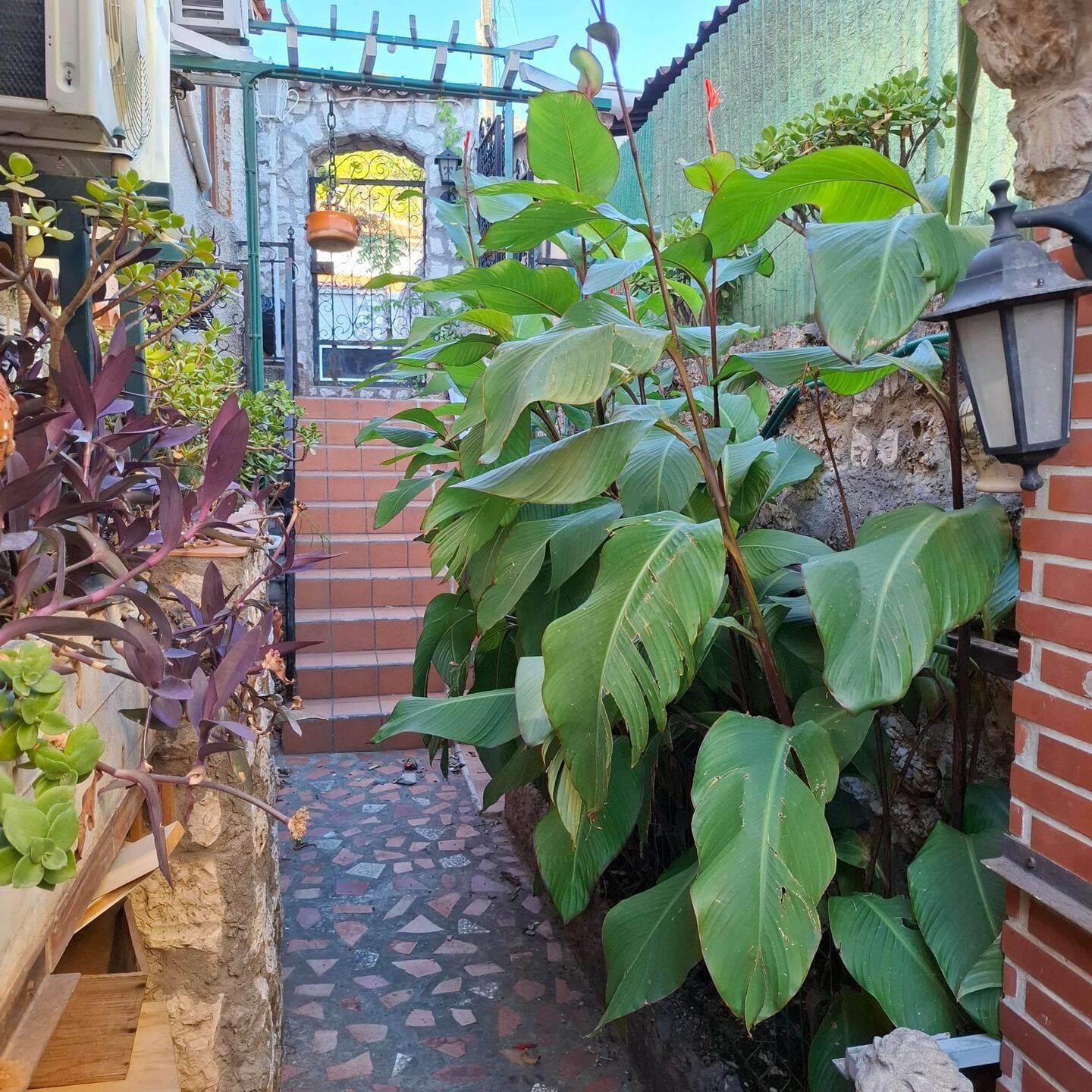 Maison à louer, 100m², Toulon