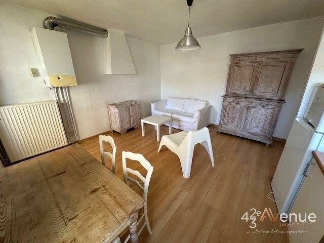 Appartement à louer, 32m², Saint-Etienne