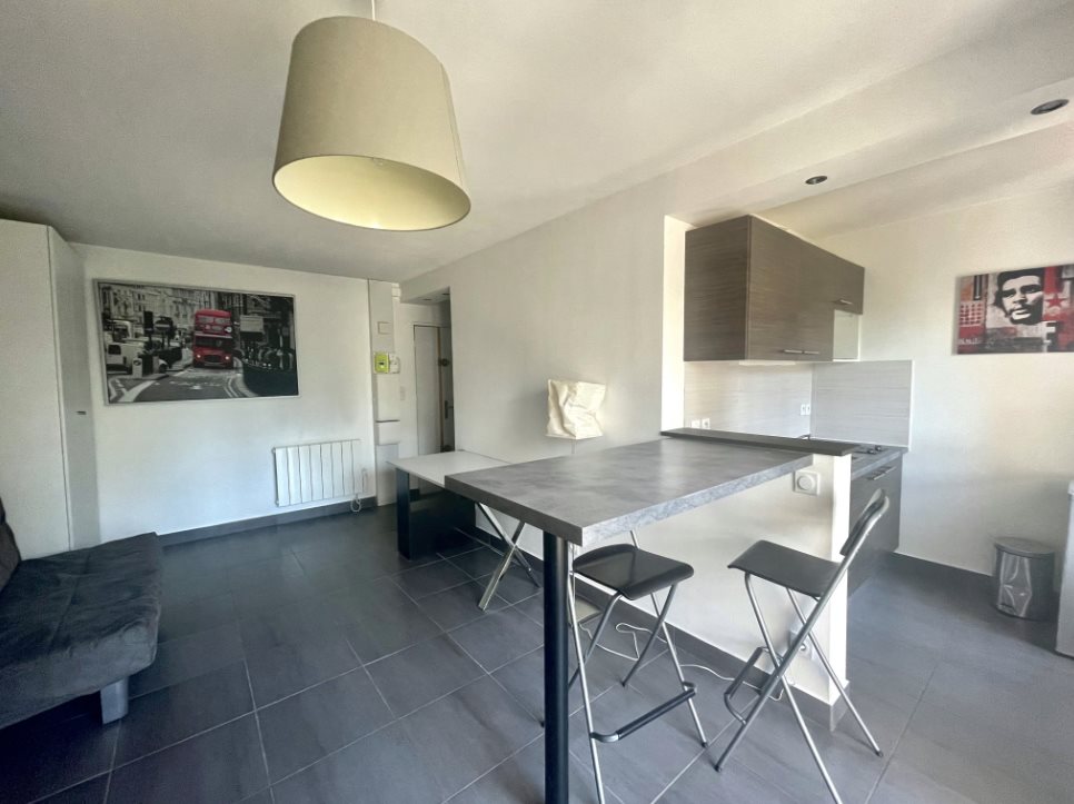 Appartement à louer, 27m², Saint-Etienne
