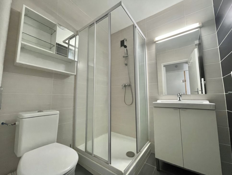 Appartement à louer, 27m², Saint-Etienne