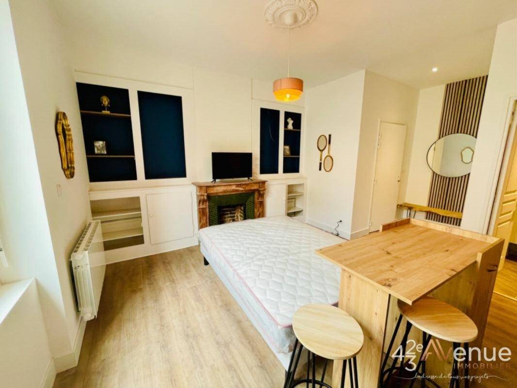 Appartement à louer, 24m², Saint-Etienne