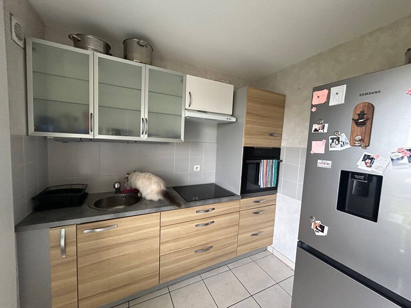 Appartement à louer, 64m², Hochstatt