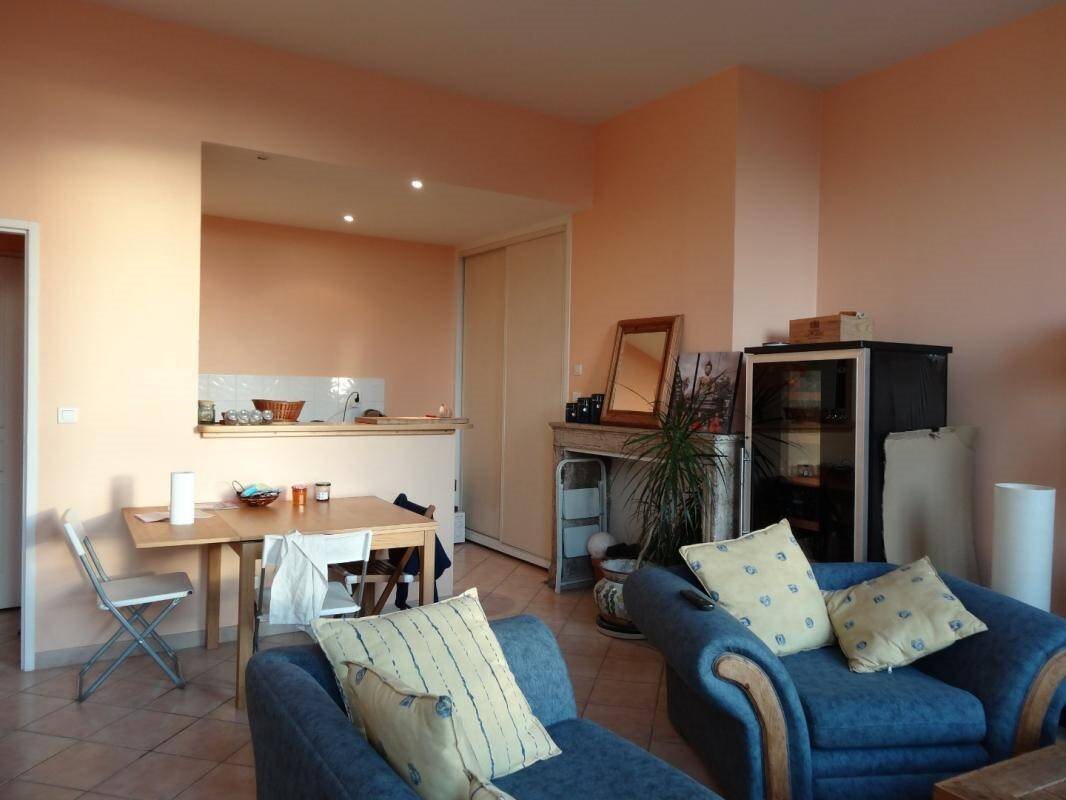 Appartement à louer, 49m², Lyon 1er