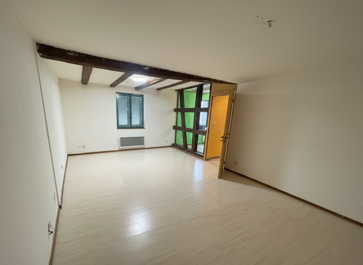 Appartement à louer, 50m², Schiltigheim