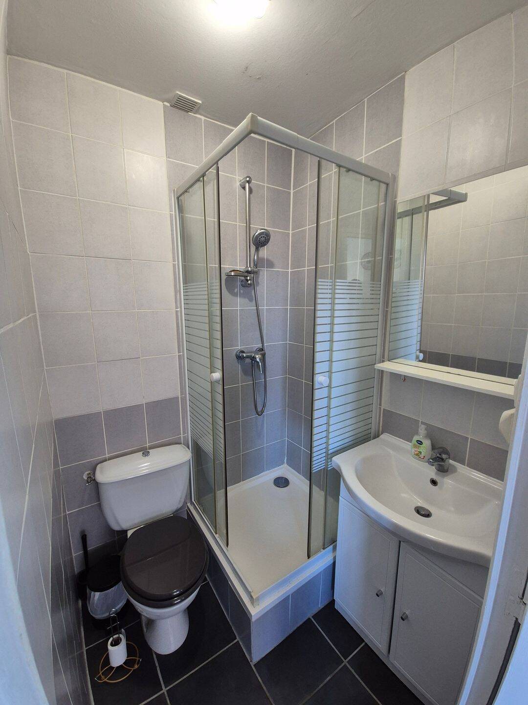 Appartement à louer, 32m², Saint-Etienne