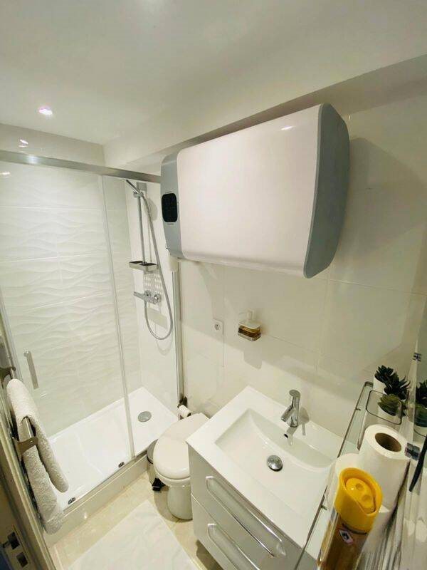 Appartement à louer, 22m², Lyon 1er