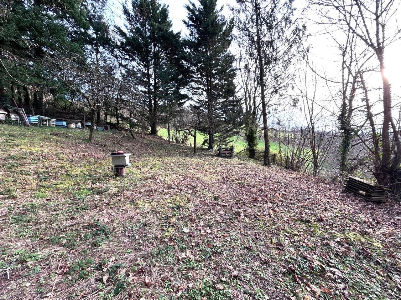 Maison à vendre, 149m², Saint-Vincent-de-Reins