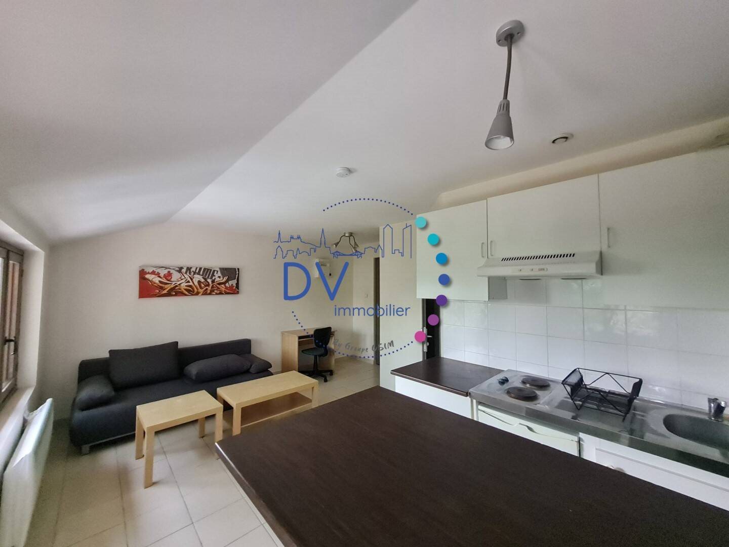 Appartement à louer, 20m², Ecully