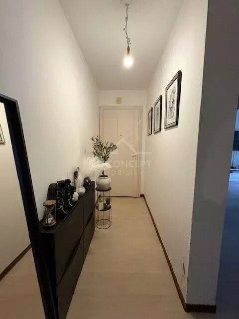 Appartement à louer, 58m², Bischheim