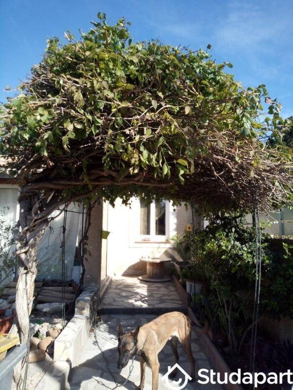 Appartement à louer, 11m², Bédarrides