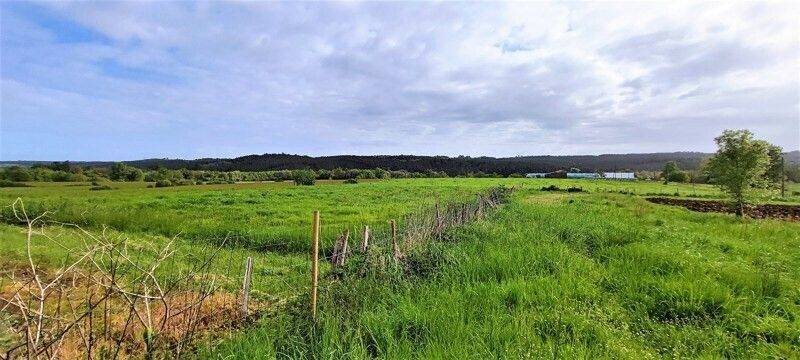 Maison à vendre, 162m², Boscamnant