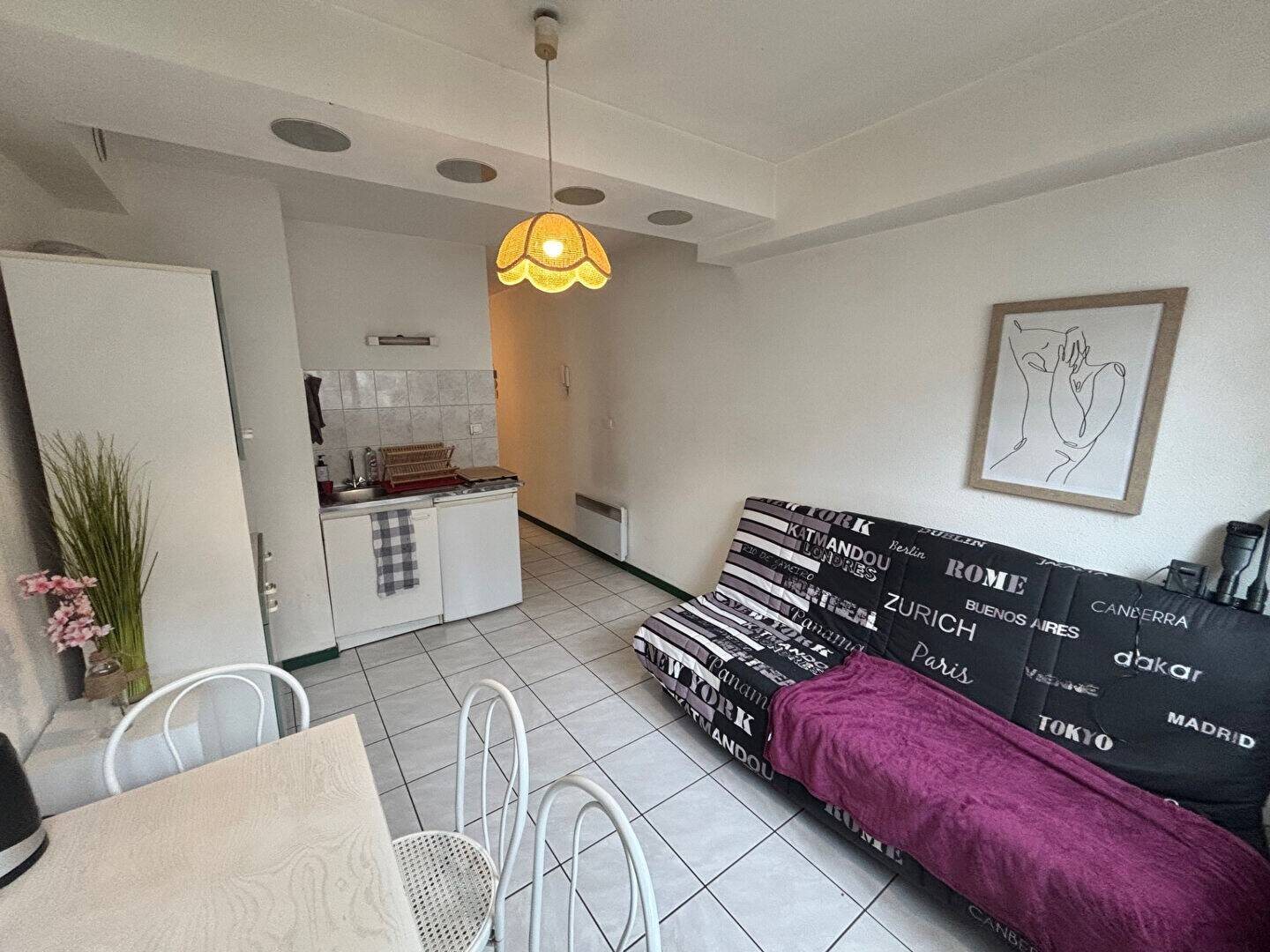 Appartement à louer, 25m², Lyon 7ème