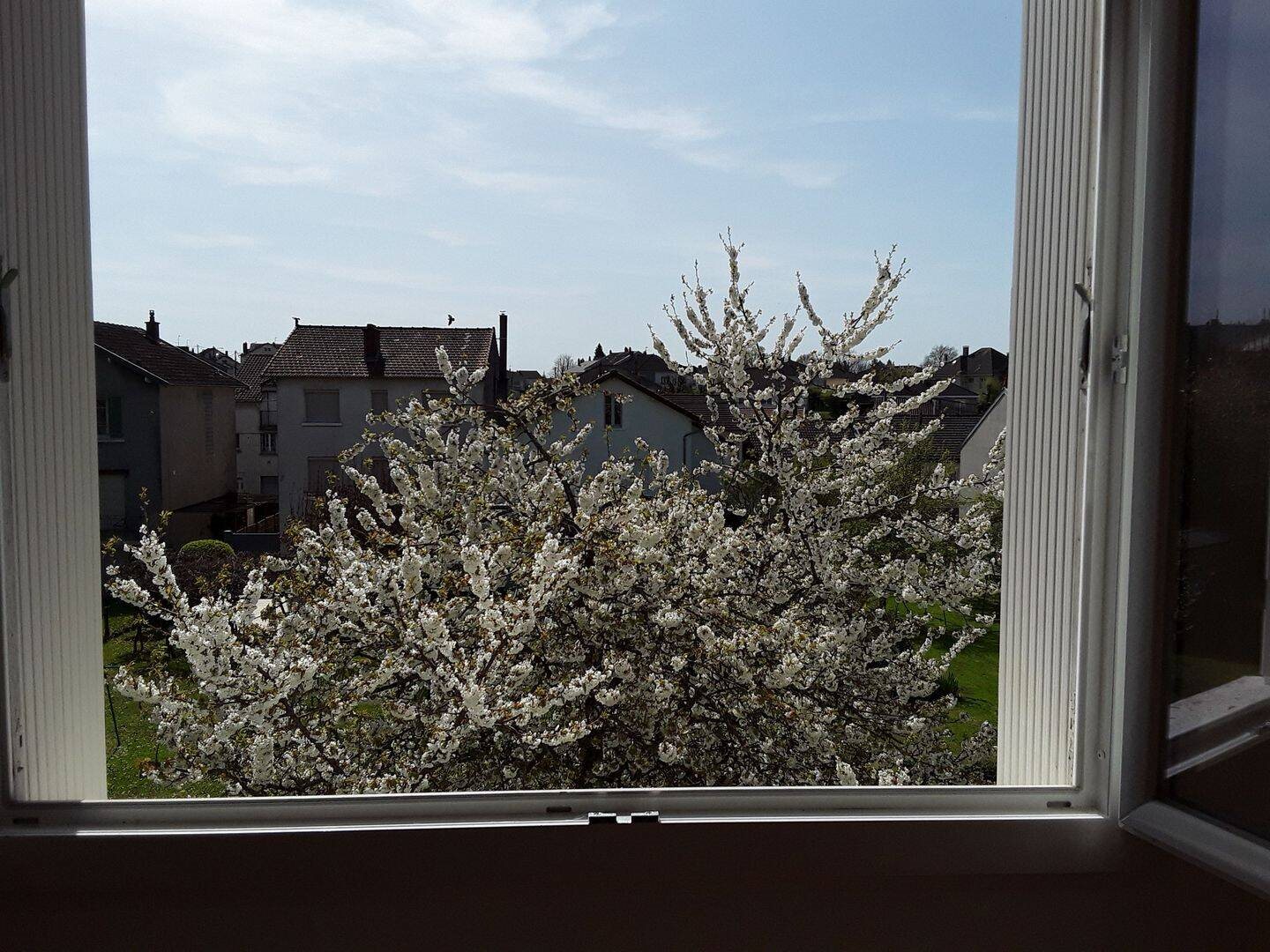 Appartement à louer, 43m², Limoges