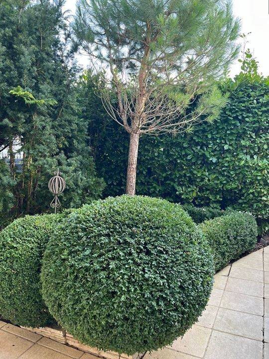 Maison à vendre, 196m², Marly