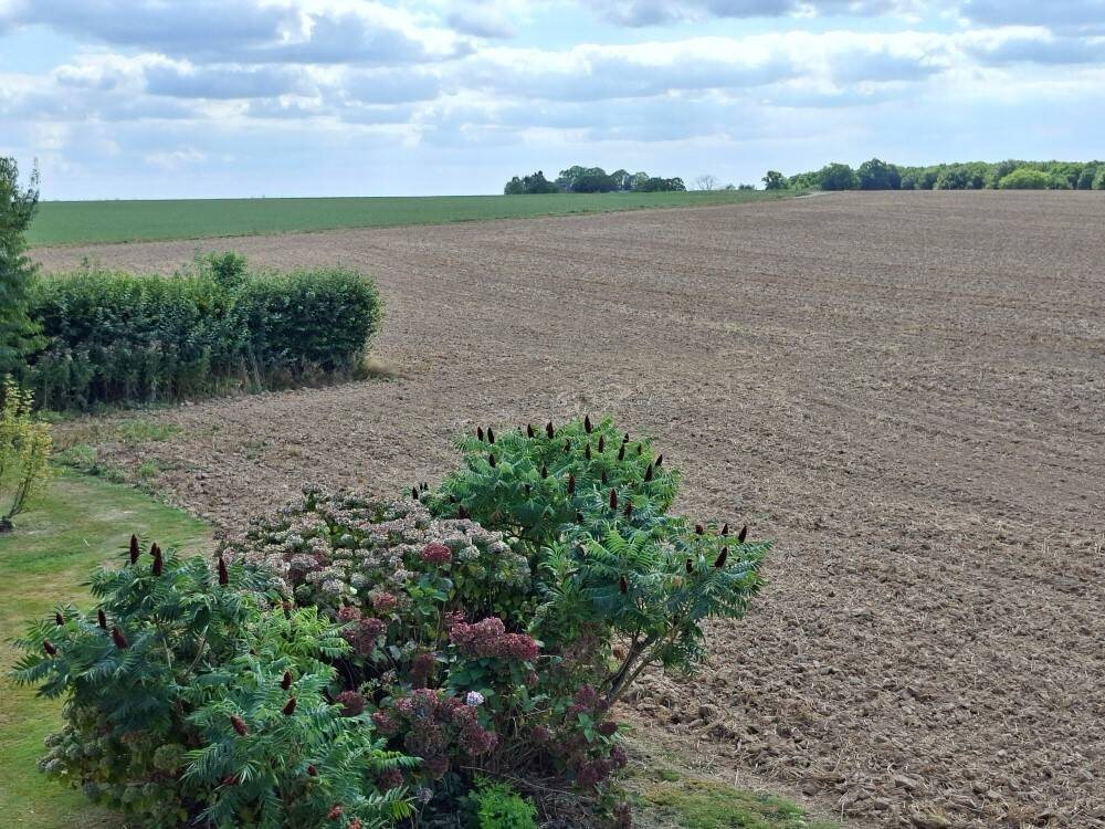 Appartement à louer, 27m², Saint-Jean-de-Folleville