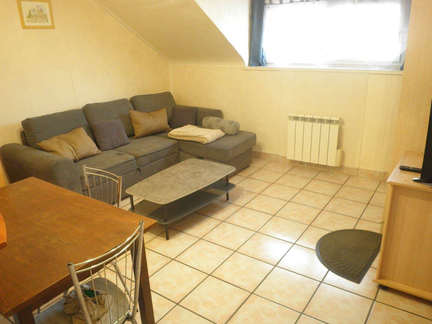 Appartement à vendre, 36m², Grenoble
