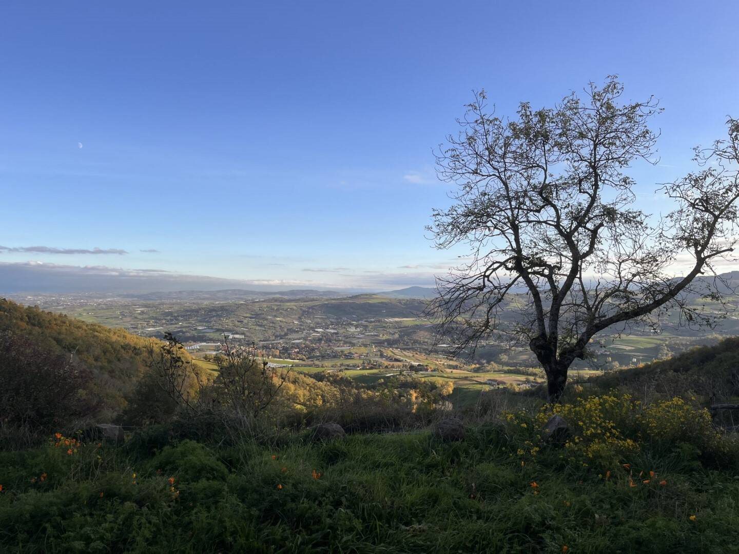 Maison à louer, 146m², Yzeron