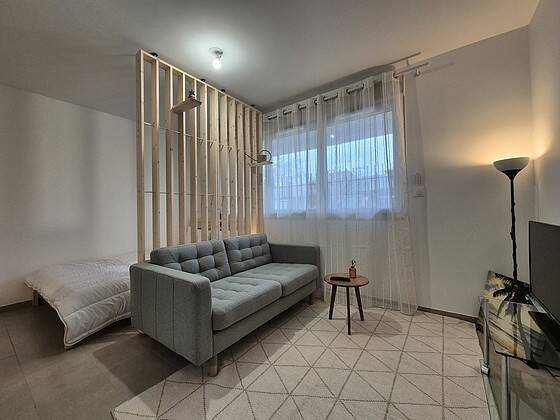 Appartement à louer, 29m², Vénissieux