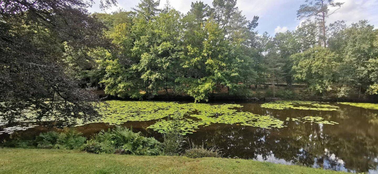 Appartement à vendre, 24m², Trédion