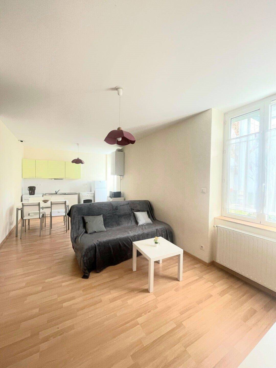 Appartement à louer, 44m², Saint-Etienne