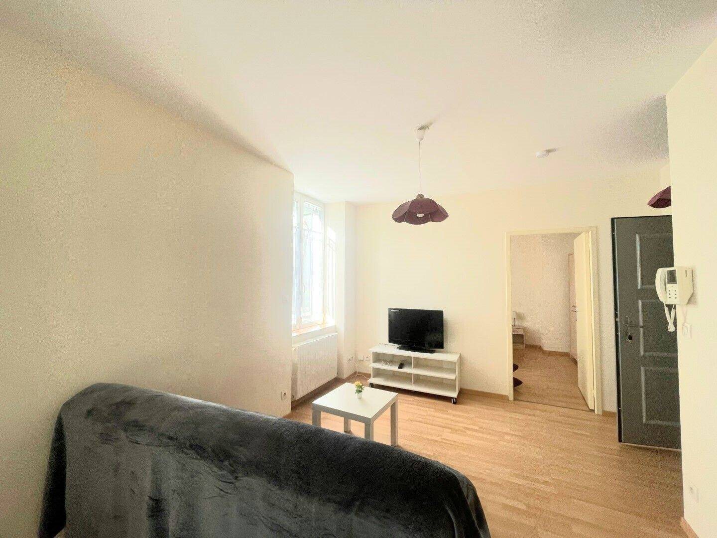 Appartement à louer, 44m², Saint-Etienne