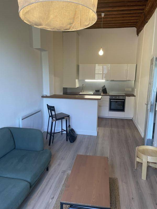 Appartement à louer, 41m², Lyon 9ème