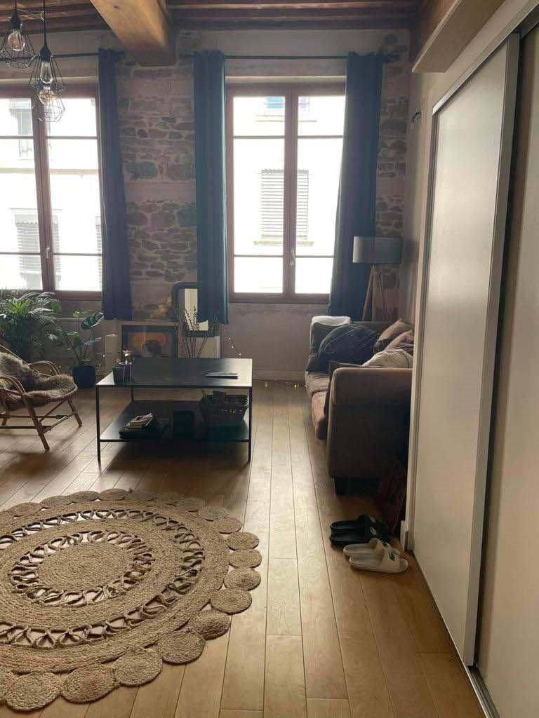 Appartement à louer, 42m², Lyon 1er
