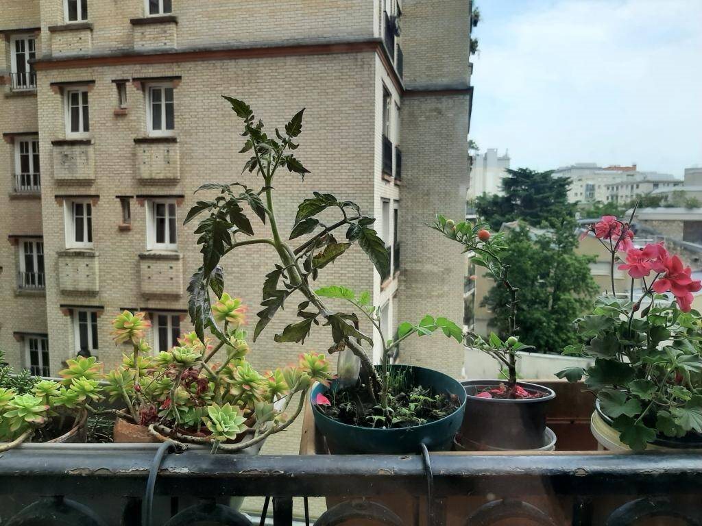 Appartement à louer, 17m², Paris 14ème