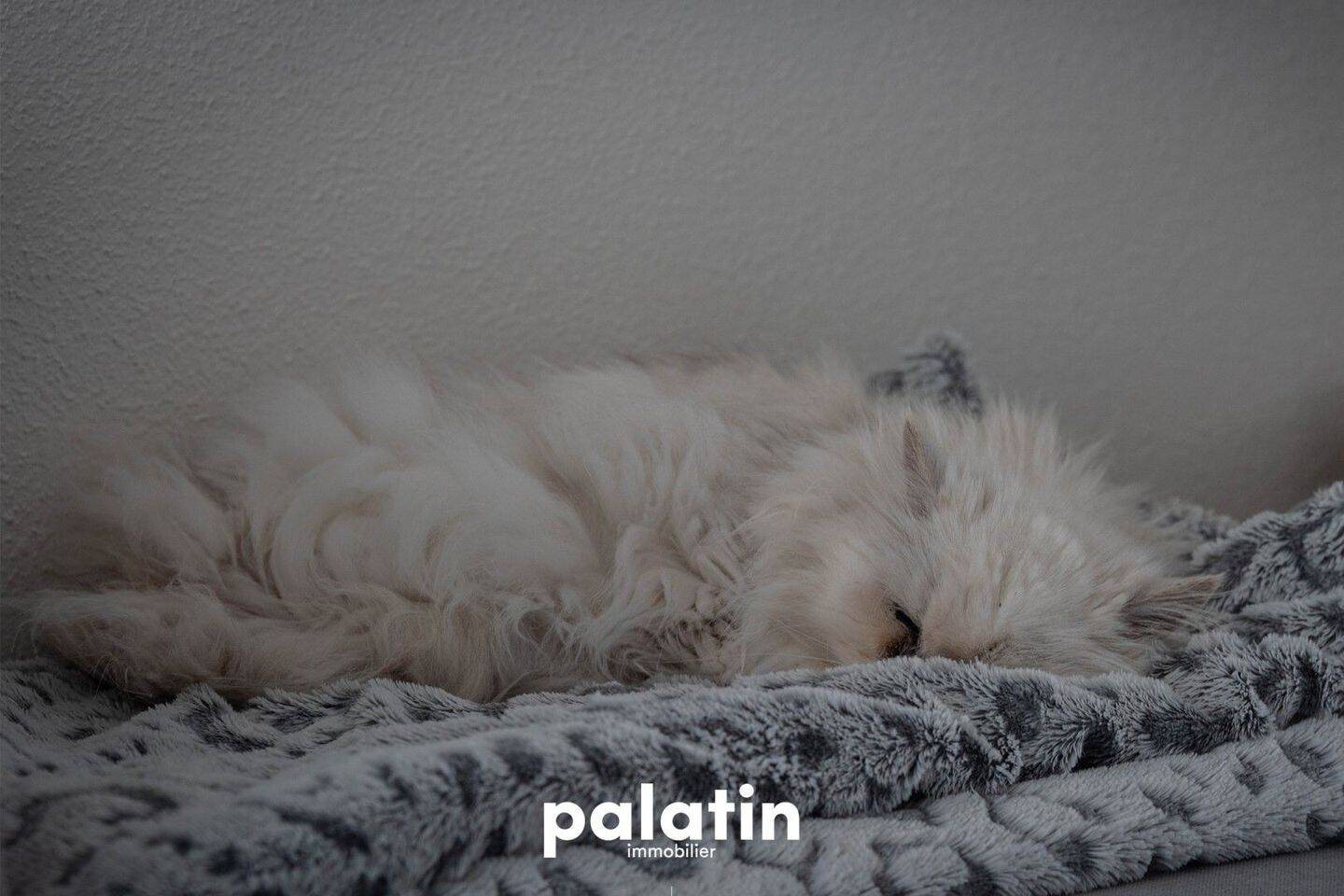 Appartement à vendre, 82m², Wasselonne