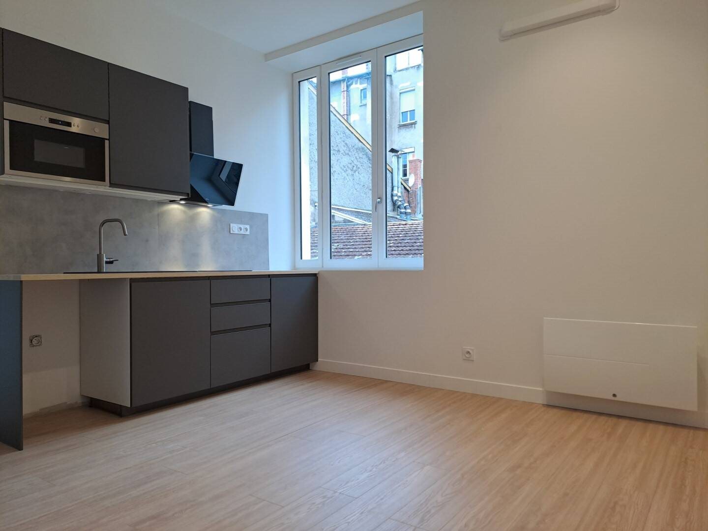 Appartement à louer, 27m², Lyon 4ème