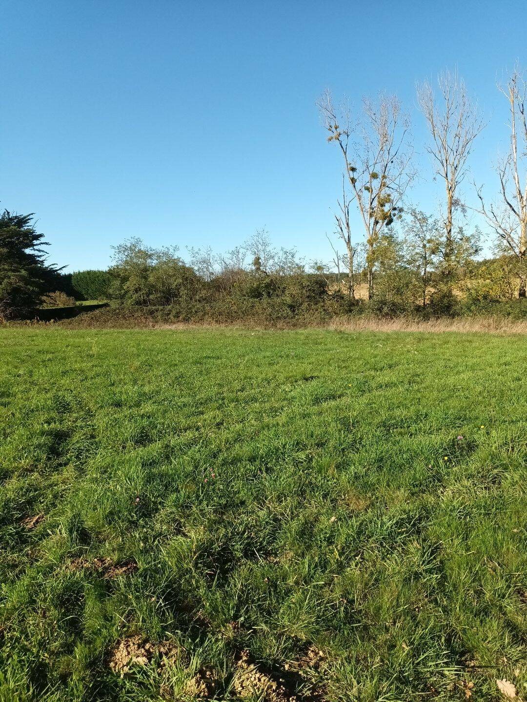 Maison à vendre, 2090m², Boulogne-sur-Gesse