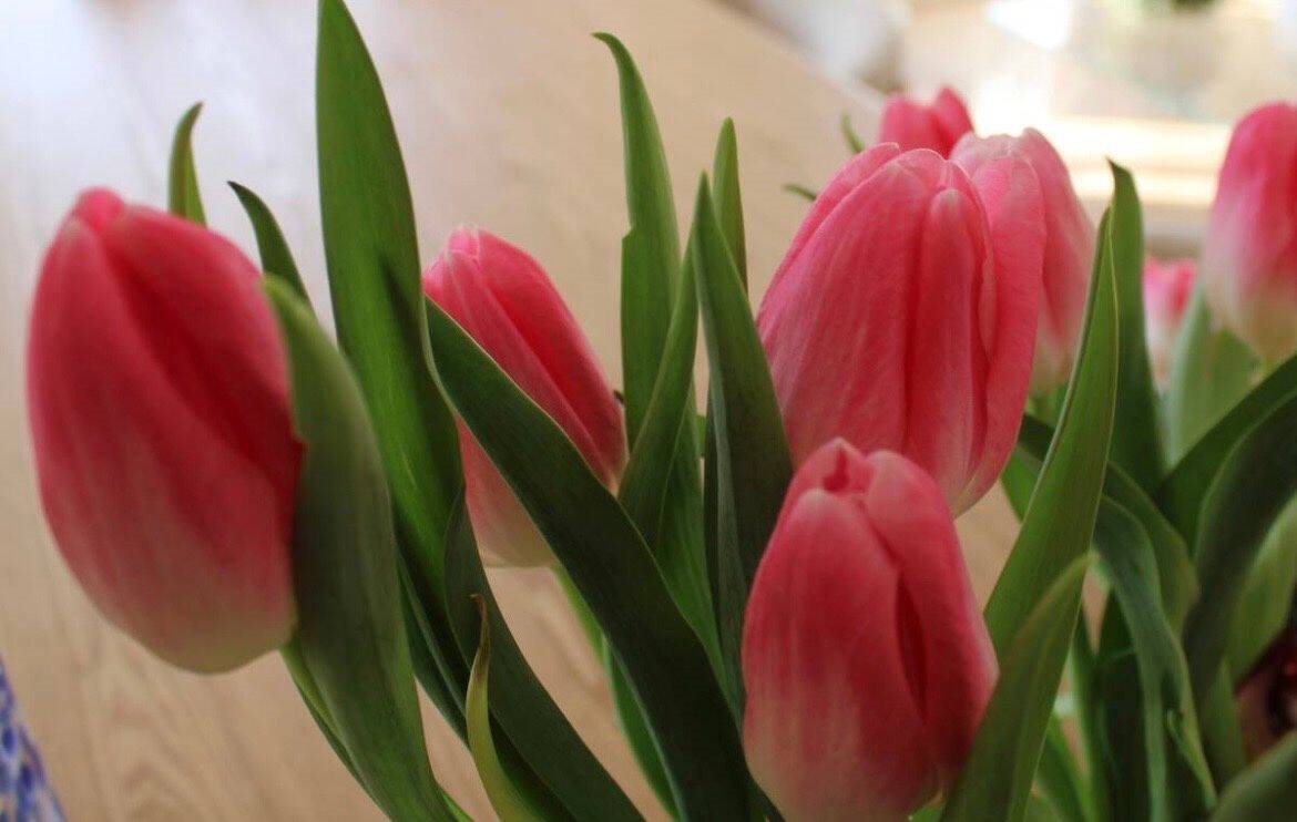 Appartement à vendre, 53m², Paris 10ème