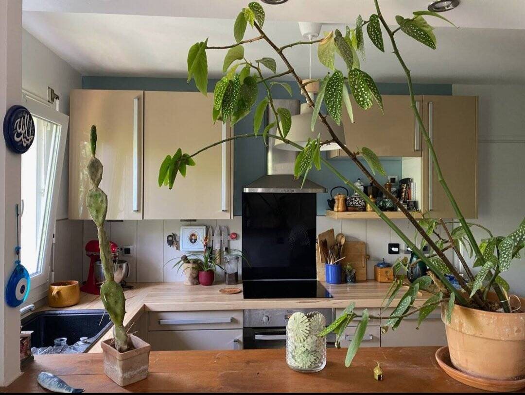 Maison à vendre, 108m², Toulouse