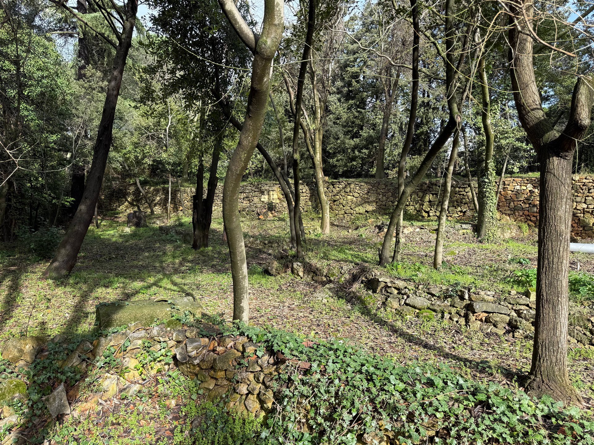 Maison à vendre, 200m², Montpellier