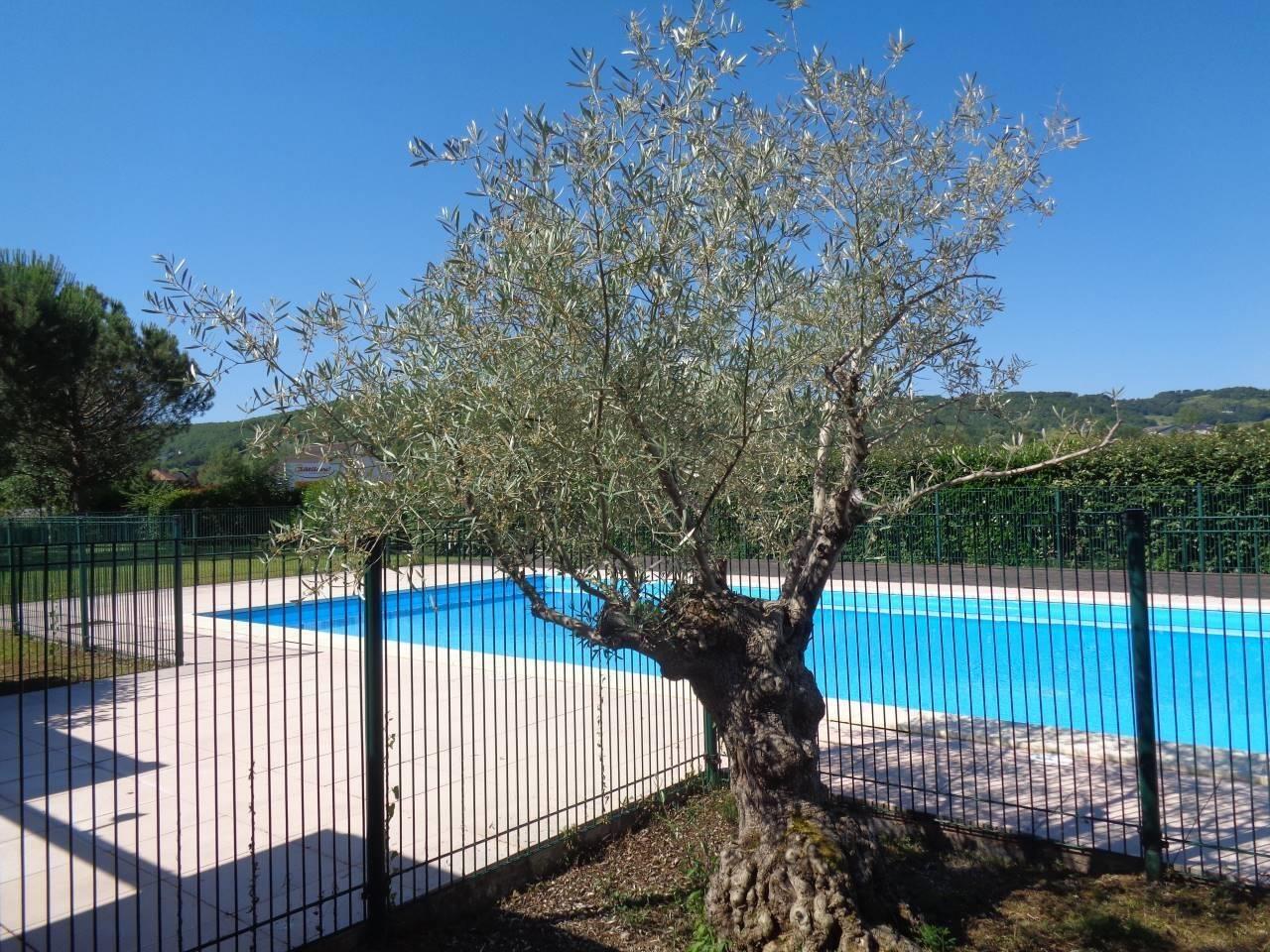 Appartement à vendre, 61m², Larche