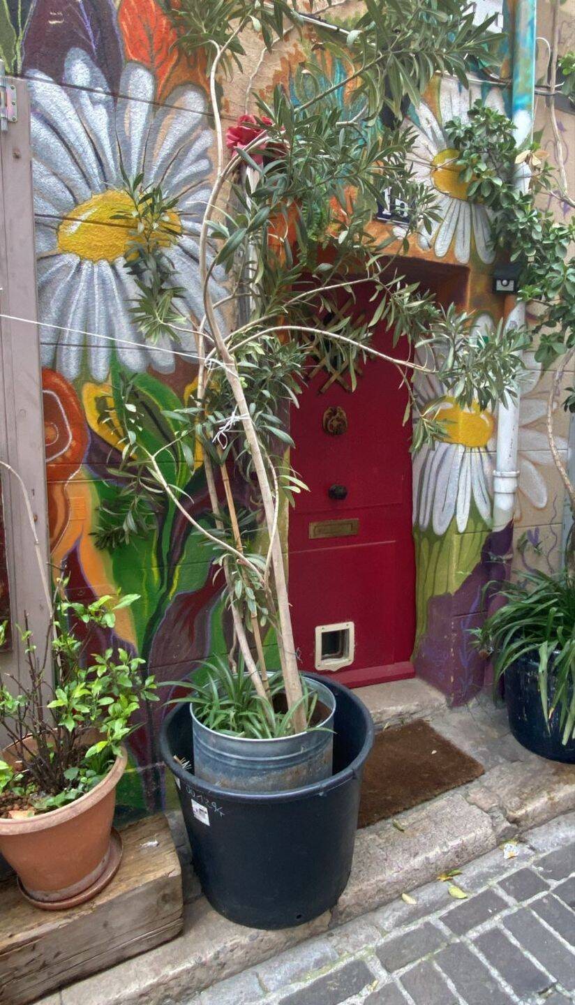 Maison à vendre, 125m², Marseille 2ème