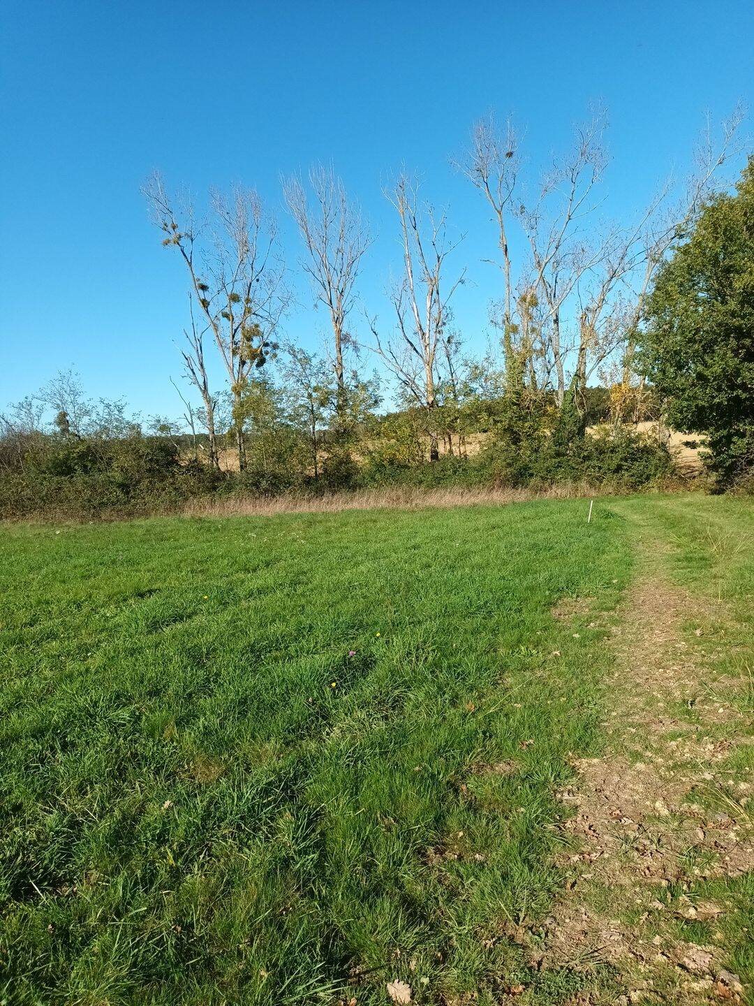 Maison à vendre, 2090m², Boulogne-sur-Gesse